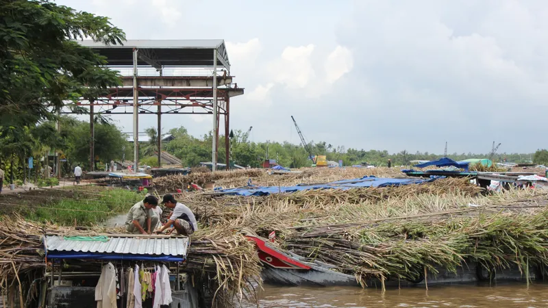 Nhà máy đường Phụng Hiệp trình phương án hoạt động “3 tại chỗ”