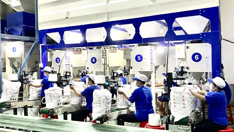 Xuất khẩu gạo đạt mức kỷ lục, nhưng doanh nghiệp cần thận trọng 