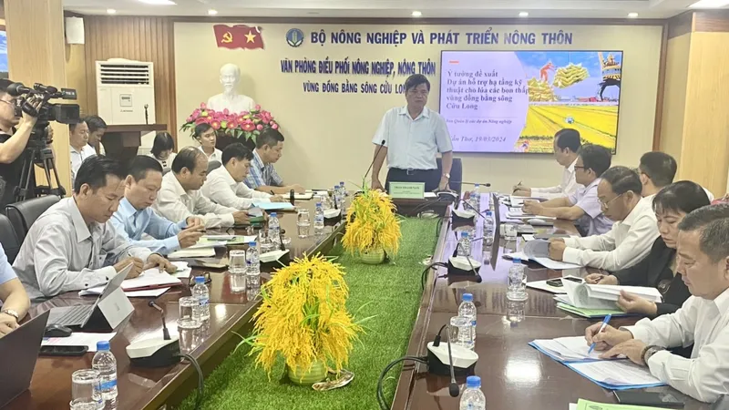 Quang cảnh hội nghị