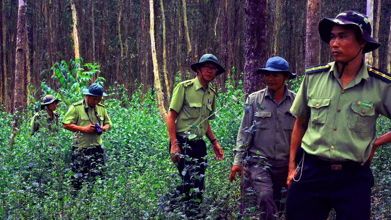 Hậu Giang: Gắn thêm camera quan sát tại các cánh rừng có nguy cơ cháy cao