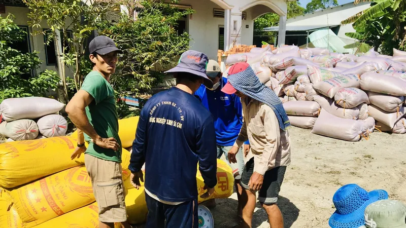 Hài hòa lợi ích giữa nông dân và doanh nghiệp để phát triển cánh đồng lớn 