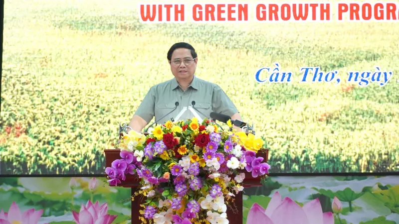 Thủ tướng: Phải rõ người, rõ việc, rõ trách nhiệm trong thực hiện Đề án 1 triệu hécta lúa chất lượng cao