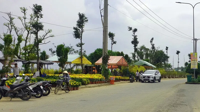 Chợ hoa Xuân Ất Tỵ có không gian rộng, nằm cặp sông Hậu sẽ là điểm du xuân lý tưởng cho người dân