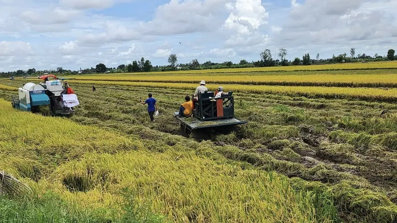 Tìm giải pháp thúc đẩy liên kết giữa nông dân, hợp tác xã và doanh nghiệp