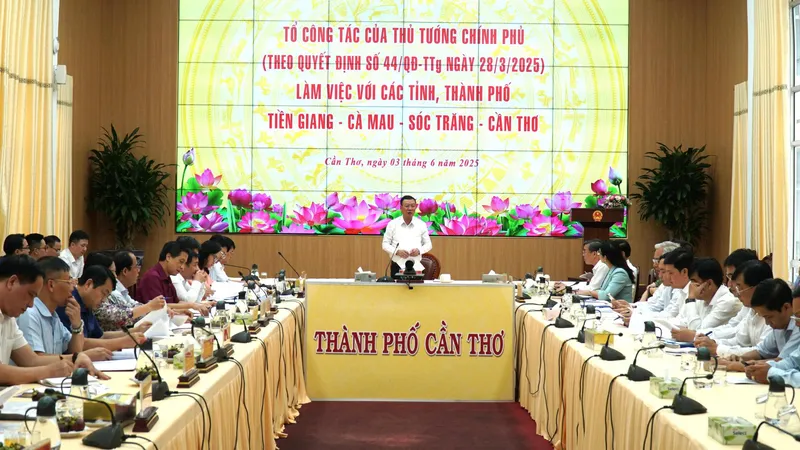 Đồng chí Đoàn Hồng Phong, Tổng Thanh tra Chính phủ phát biểu kết luận buổi làm việc
