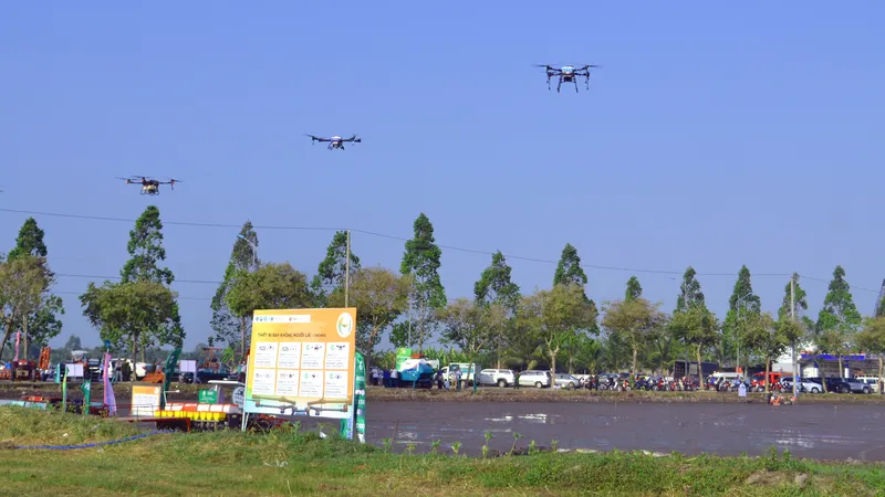 Nông dân TP Cần Thơ dùng drone bay gieo sạ lúa trong mô hình canh tác lúa thông minh 