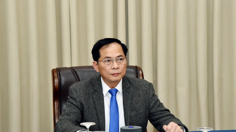 Phó Thủ tướng, Bộ trưởng Bộ Ngoại giao Bùi Thanh Sơn