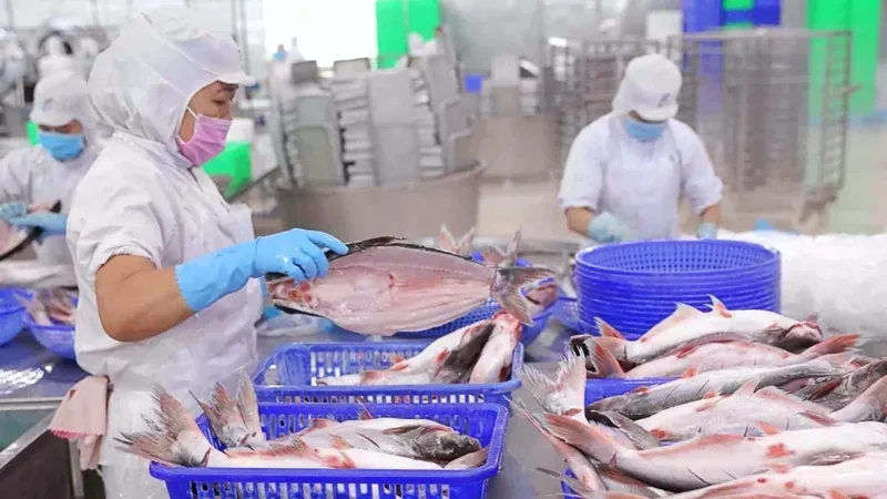 Triển khai chương trình tín dụng 100.000 tỷ đồng cho lĩnh vực nông, lâm, thủy sản