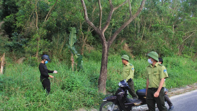 Cắm chốt, bố trí nhân viên ngăn chặn hành động gây hại đối với loài voọc ở bán đảo Sơn Trà