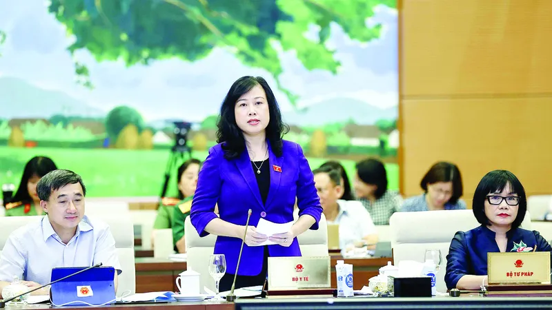 Quyền Bộ trưởng Bộ Y tế Đào Hồng Lan phát biểu tại phiên họp