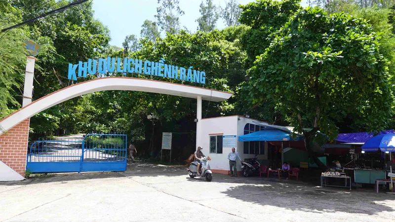 Bình Định: Xử lý nghiêm vụ chặt phá rừng trong di tích Ghềnh Ráng