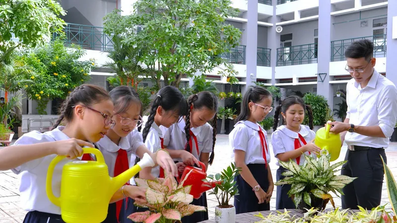 Chăm sóc mảng xanh tại Trường Tiểu học Hồ Văn Huê, quận Phú Nhuận, TPHCM