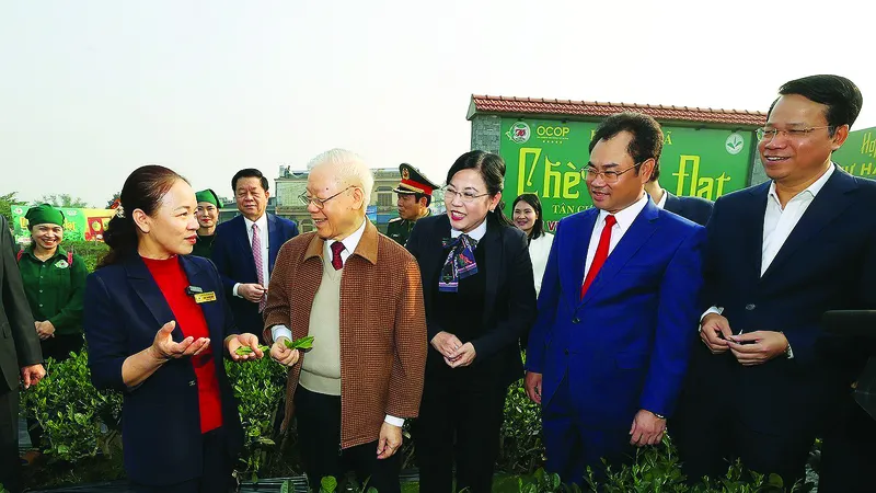 Tổng Bí thu Nguyễn Phú Trọng thăm vườn chè của Hợp tác xã Hảo Đạt, TP Thái Nguyên. Ảnh: TTXVN