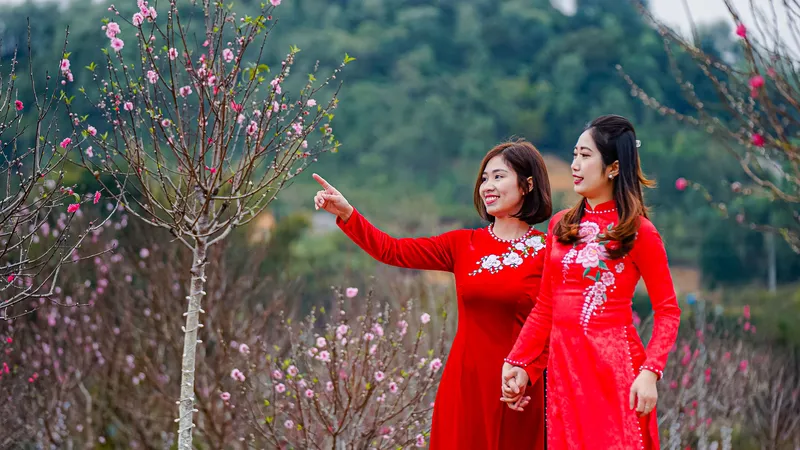  “Kỳ hoa xứ Lạng - Sắc màu biên cương” - dấu ấn Lễ hội mùa Xuân độc đáo miền Đông Bắc 