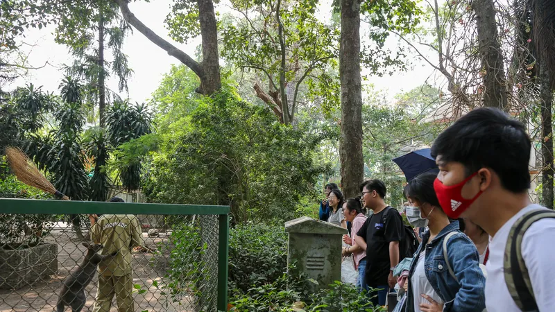 Bạn trẻ rủ nhau thăm Thảo cầm viên 
