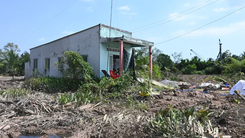 Phát quang dọn mặt bằng cho dự án cầu Rạch Miễu 2, phía tỉnh Tiền Giang. Ảnh: NGỌC PHÚC