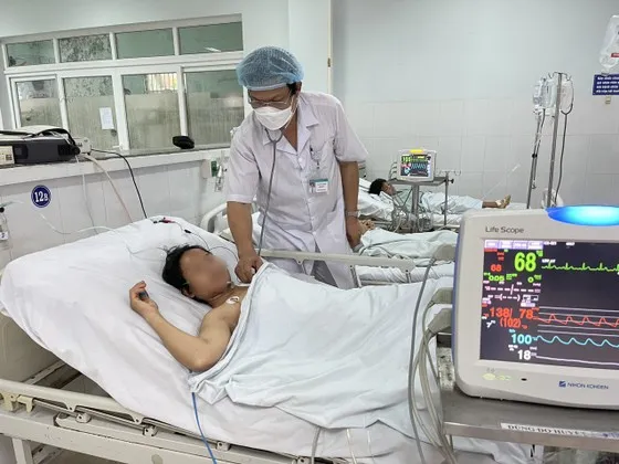 Vụ ngộ độc sau khi ăn cá chép ủ muối ở Quảng Nam: Phát hiện trực khuẩn nguy hiểm