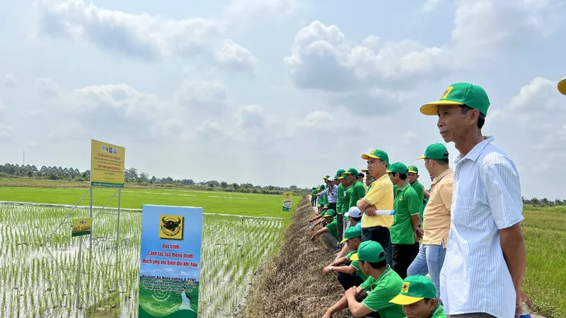 Chương trình “Canh tác lúa thông minh”: Góp phần tăng trưởng xanh cho ĐBSCL