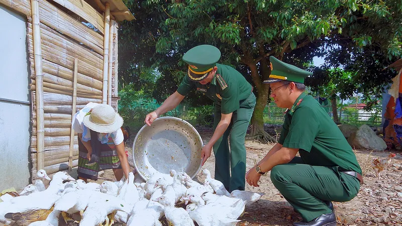 Đàn ngan giống từ mô hình “Đàn ngan khăn quàng đỏ” của Đồn biên phòng cửa khẩu Hồng Vân tặng gia đình chị Lê Thị Khêm 