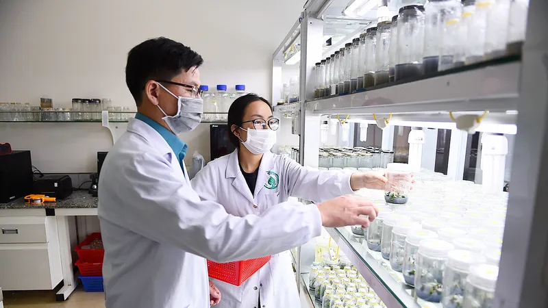 Sinh viên ngành Công nghệ sinh học Trường ĐH Quốc tế (Đại học Quốc gia TPHCM) trong giờ học thực hành