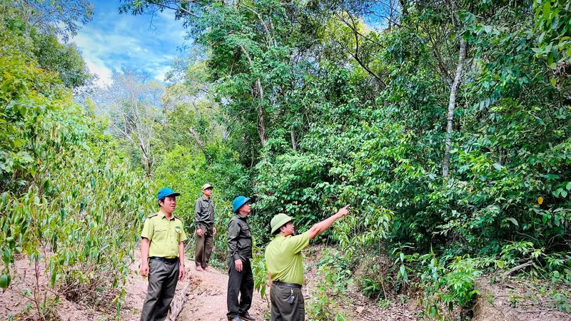 Quảng Bình: Chủ động phòng cháy chữa cháy rừng 