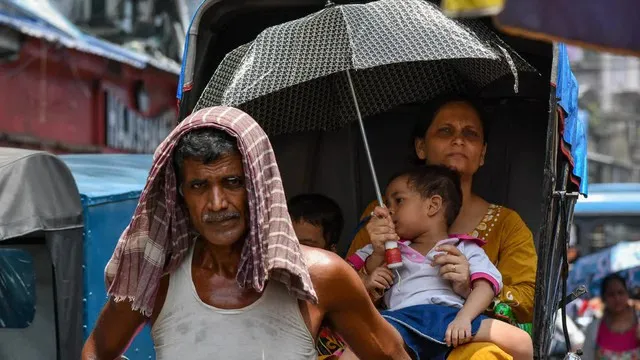 UNICEF cảnh báo về trẻ em ở Pakistan