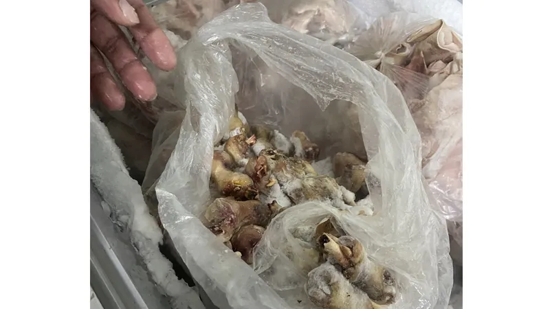 Lựa chọn đơn vị cung cấp suất ăn bán trú đảm bảo vệ sinh 