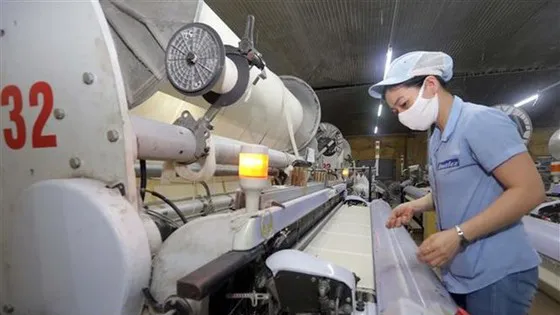 Thiếu chuyên gia FTA, có thể mất thị phần và đối tác