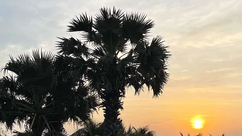 Nhớ lại tuổi hồng