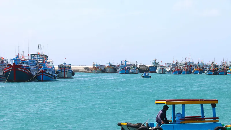 Triển khai các biện pháp chống IUU hiệu quả, ngư dân Bình Thuận an tâm vươn khơi bám biển