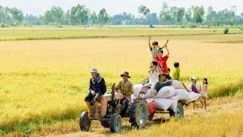 Đánh giá hiệu quả mô hình Hội Nông dân tín chấp cho nông dân vay vốn phát triển sản xuất