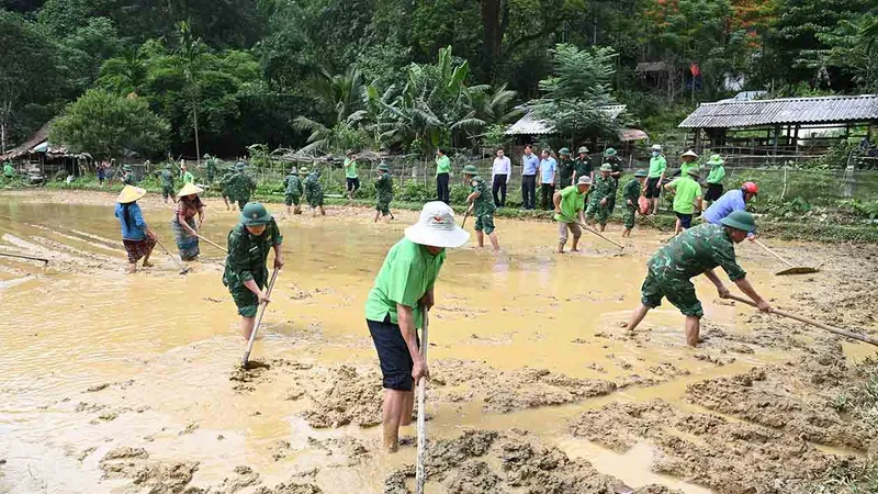 Giúp bà con sản xuất vụ hè thu