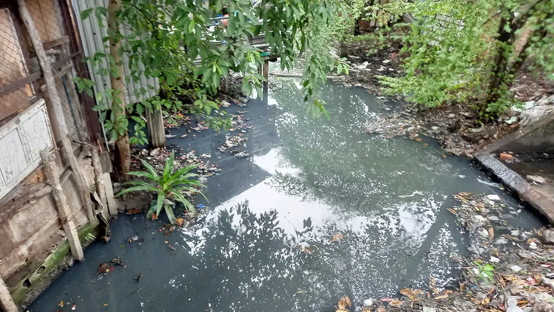 Rác thải, nước bẩn ở gầm cầu Mới