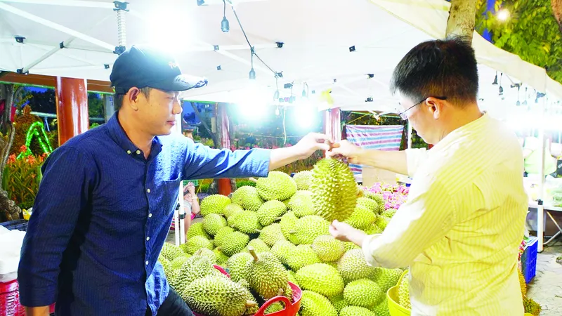 Nông dân Tiền Giang giới thiệu sầu riêng cho khách hàng