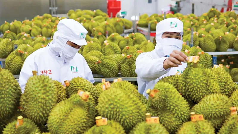 Để hàng Việt hiện diện nhiều hơn trên kệ hàng thế giới