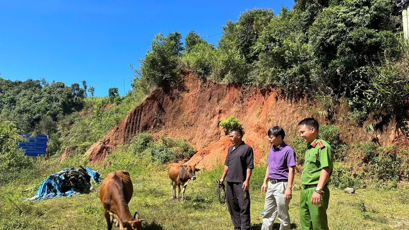 Đảng ủy và Công an xã Đăk Hà, huyện Tu Mơ Rông, tỉnh Kon Tum thăm, động viên anh Vi Văn Cảnh nuôi bò, nâng cao thu nhập 