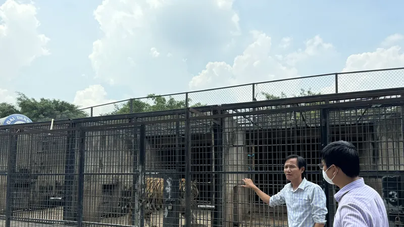 Ngăn chặn nguy cơ lây lan dịch bệnh trên vật nuôi