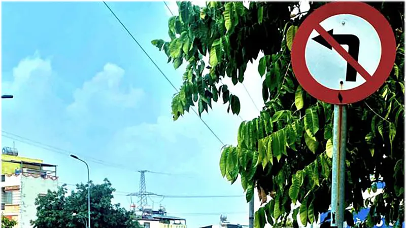 Tiện đâu đi đó
