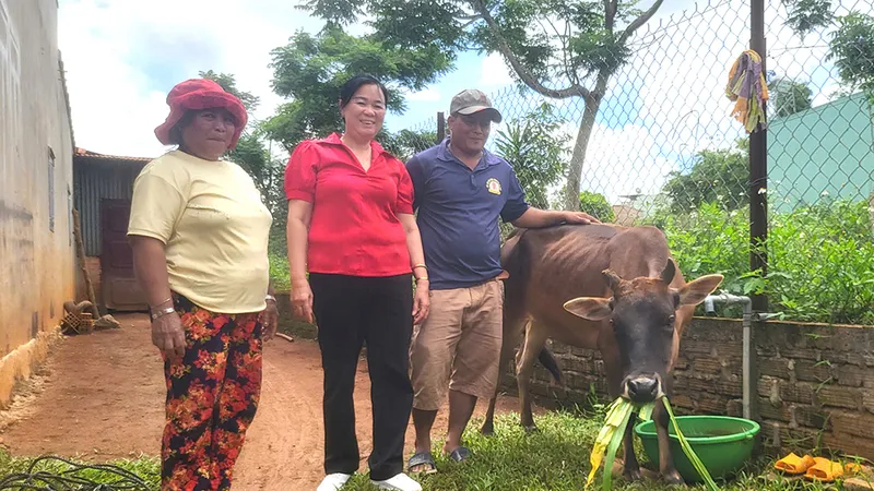 Dự án “Ngân hàng bò” đã hỗ trợ cho anh Y Kă (phường Thắng Lợi, TP Pleiku, tỉnh Gia Lai) một con bò cái để anh có cơ hội phát triển kinh tế 