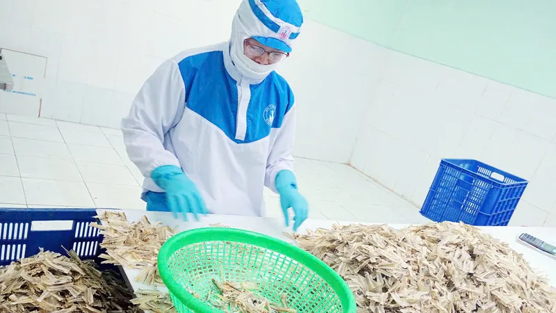 Sản phẩm xương cá đục của Công ty TNHH Tứ Hải (phường Phước Thắng, TPHCM) xuất khẩu sang Nhật Bản 