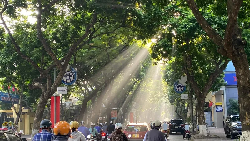 Ảnh minh họa