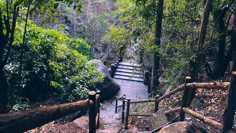 Cơ quan chức năng thông báo tăng cường kiểm soát người và phương tiện ra, vào Khu rừng Văn hóa - Lịch sử núi Bà Đen