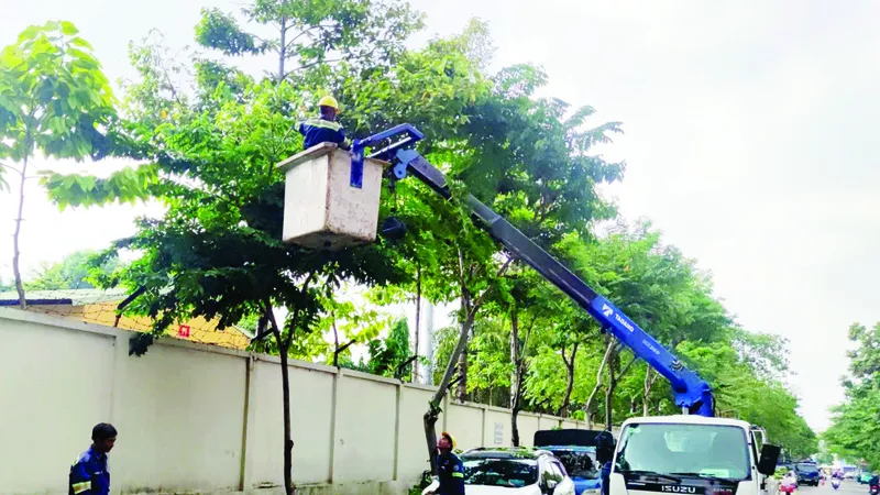 Công nhân cắt tỉa cành nhánh, hạ độ cao cây xanh trên đường Phan Văn Trị, phường Hạnh Thông, TPHCM. Ảnh: THANH HIỀN