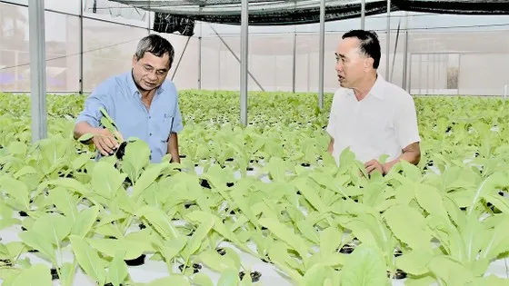 Đề xuất dành hơn 519 tỷ đồng hỗ trợ kinh tế tập thể TPHCM 