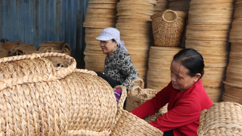 Nghề đan lục bình cho lao động nhàn rỗi nông thôn