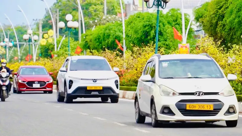 Ấn tượng đường hoa mai vàng khoe sắc rực rỡ ở TPHCM