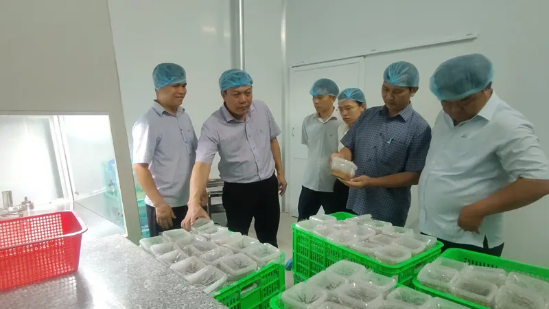 Xây dựng Kim Long thành xã nông nghiệp thông minh, điểm đến sinh thái tiêu biểu