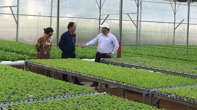 Liên kết để phát triển