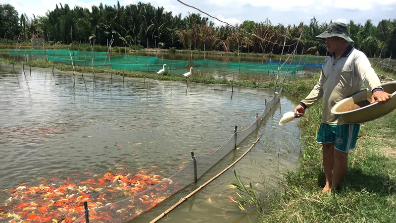 Sức sống mới ở xã vùng ven Bình Lợi 