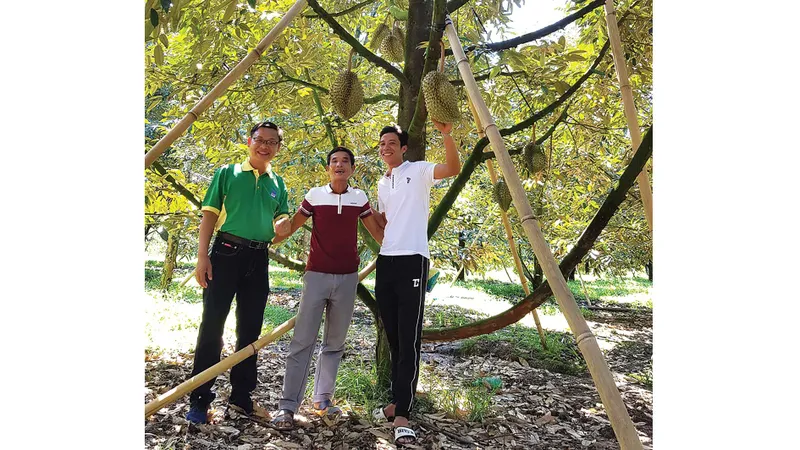 Phân bón Phú Mỹ - thương hiệu hàng đầu của ngành và nhóm 40 thương hiệu giá trị nhất Việt Nam